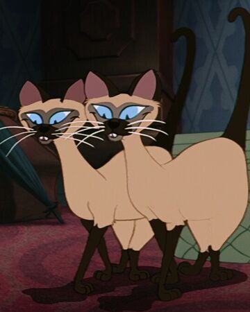 Si And Am Disney Wiki Fandom