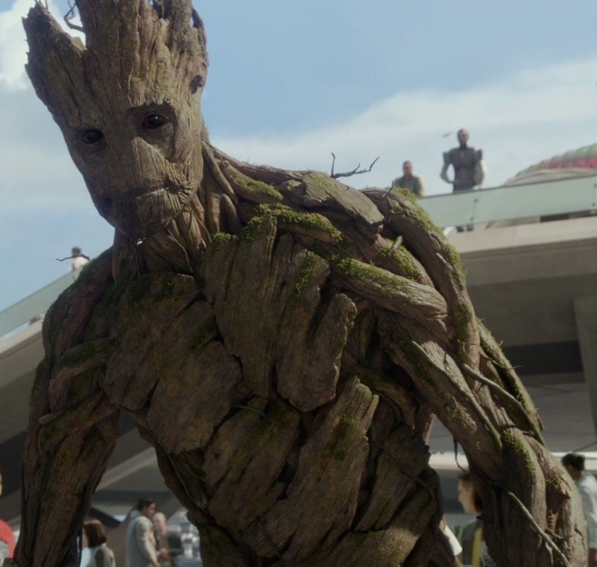 Image result for groot