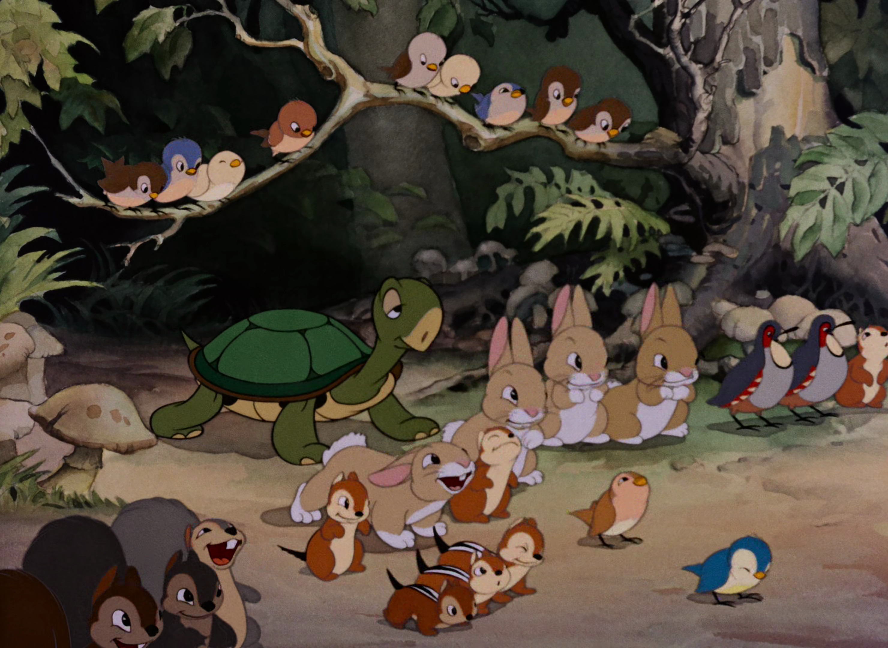 Forest Animals Disney Wiki Fandom