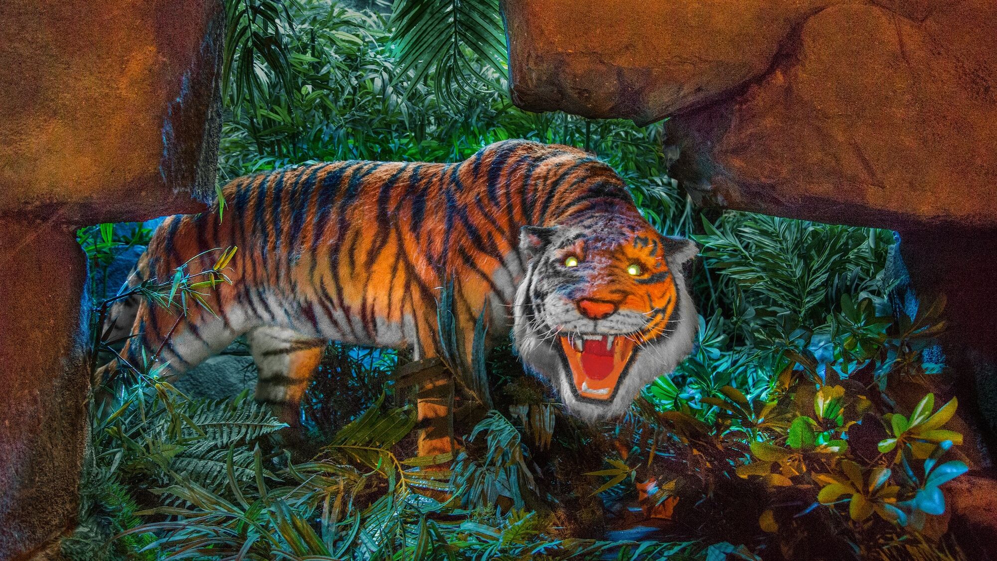 Круиз по джунглям тигр