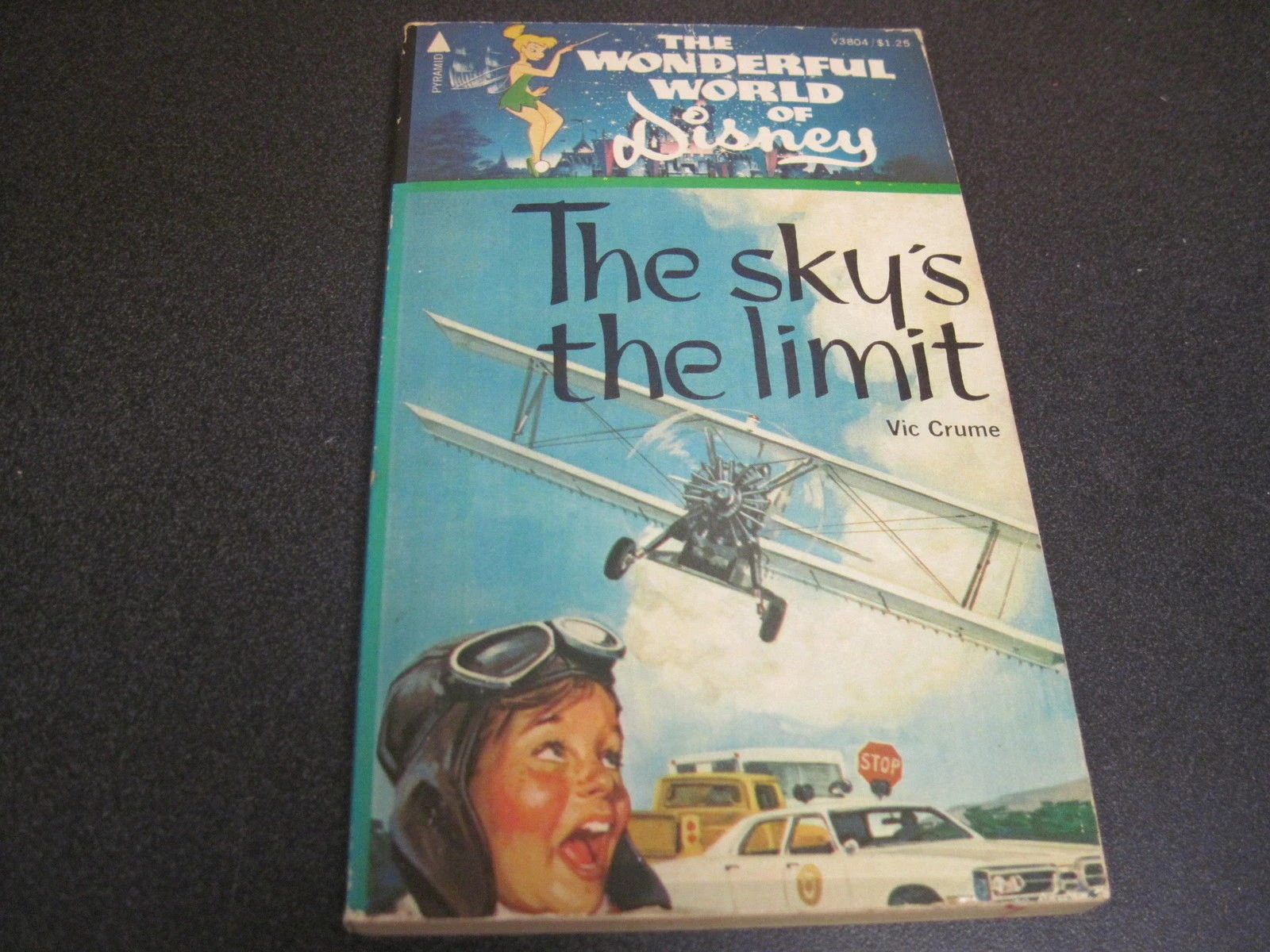 The Sky's the Limit Disney Wiki FANDOM powered by Wikia