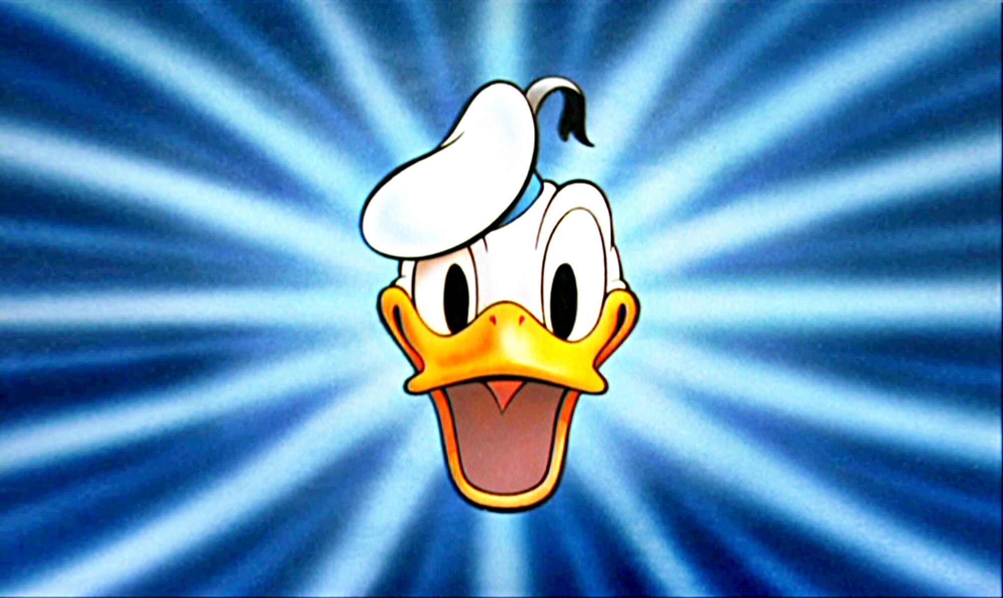 Donald Duck | Disney Wiki | FANDOM powered by Wikia