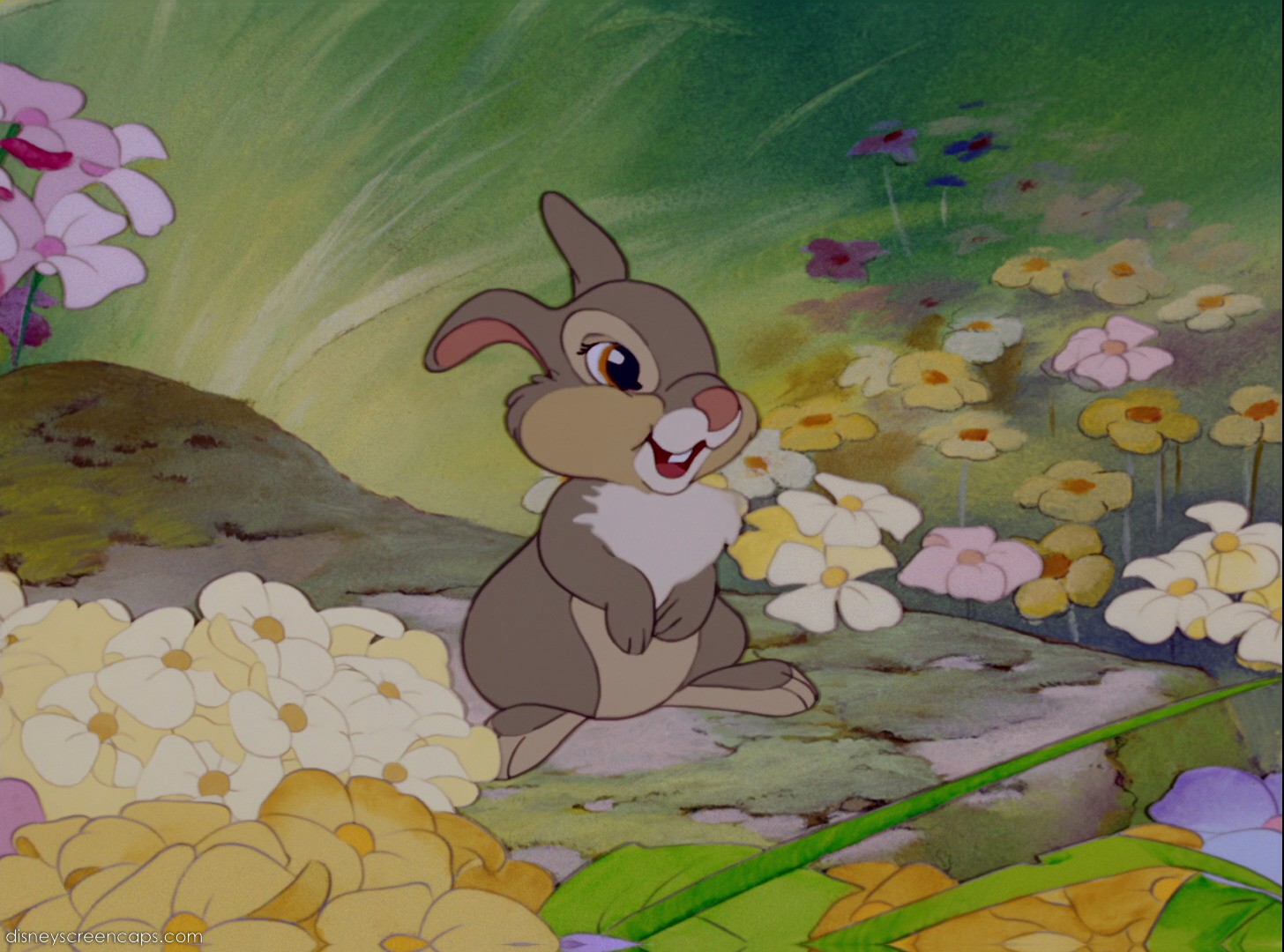 Image - Bambi-disneyscreencaps com-1375.jpg | Disney Wiki | FANDOM ...