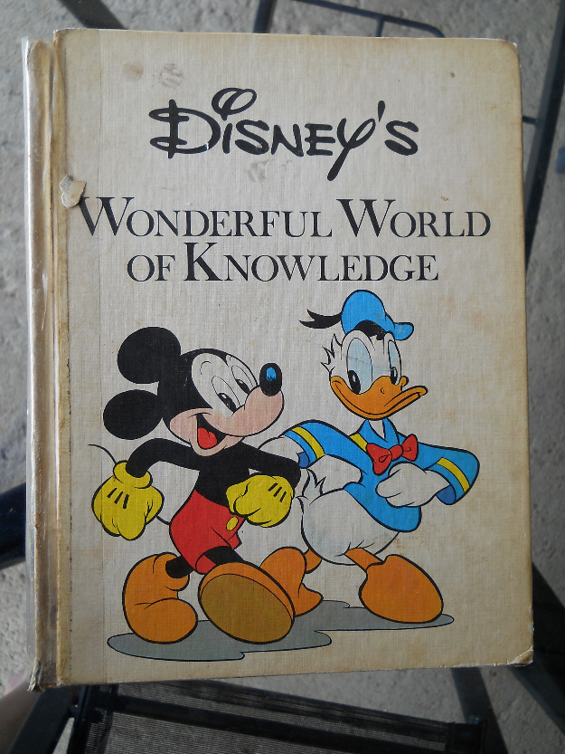 disneys wonderful world of knowledge