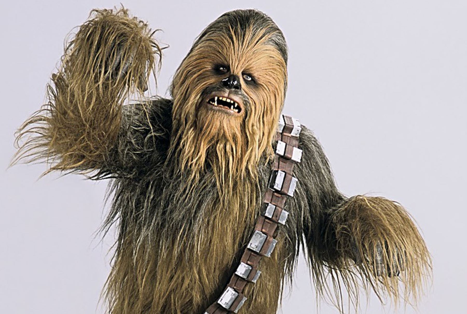 Image - Chewie ep3.jpg | Disney Wiki | FANDOM powered by Wikia