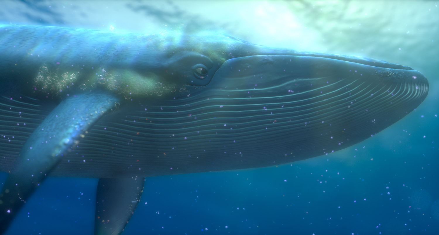 Image - Whale (Finding Nemo).jpg | Disney Wiki | FANDOM ...