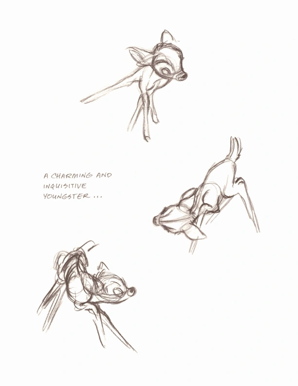 Imagen Bambi sketchbook 014.png Disney Wiki FANDOM powered by Wikia