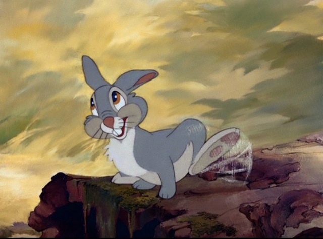 Thumper | Disney Wiki | FANDOM powered by Wikia