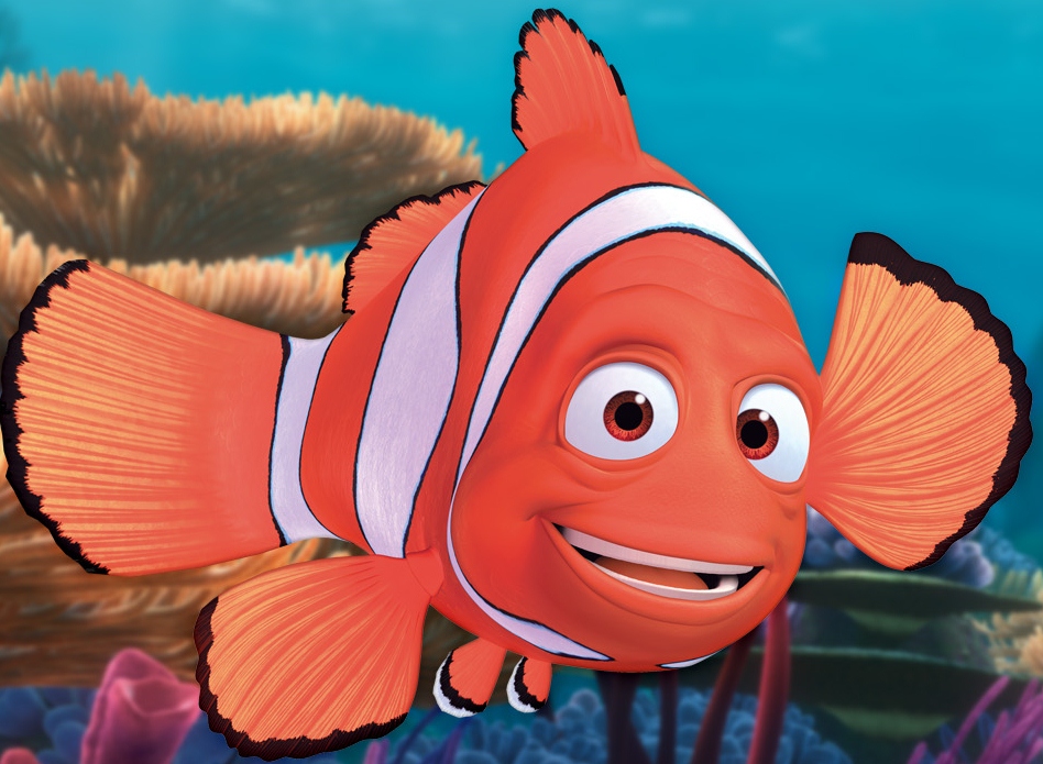 Image - Wallpapers full marlin.jpg | Disney Wiki | FANDOM powered ... Image - Wallpapers full marlin.jpg | Disney Wiki | FANDOM powered ...