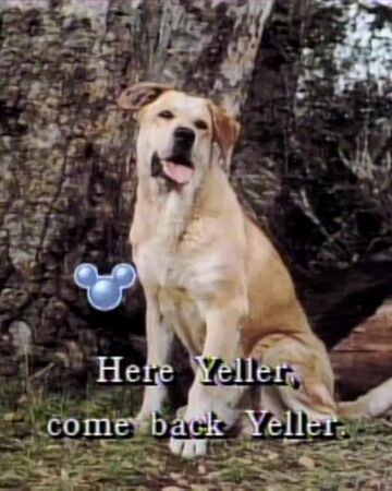 Old Yeller Song Disney Wiki Fandom