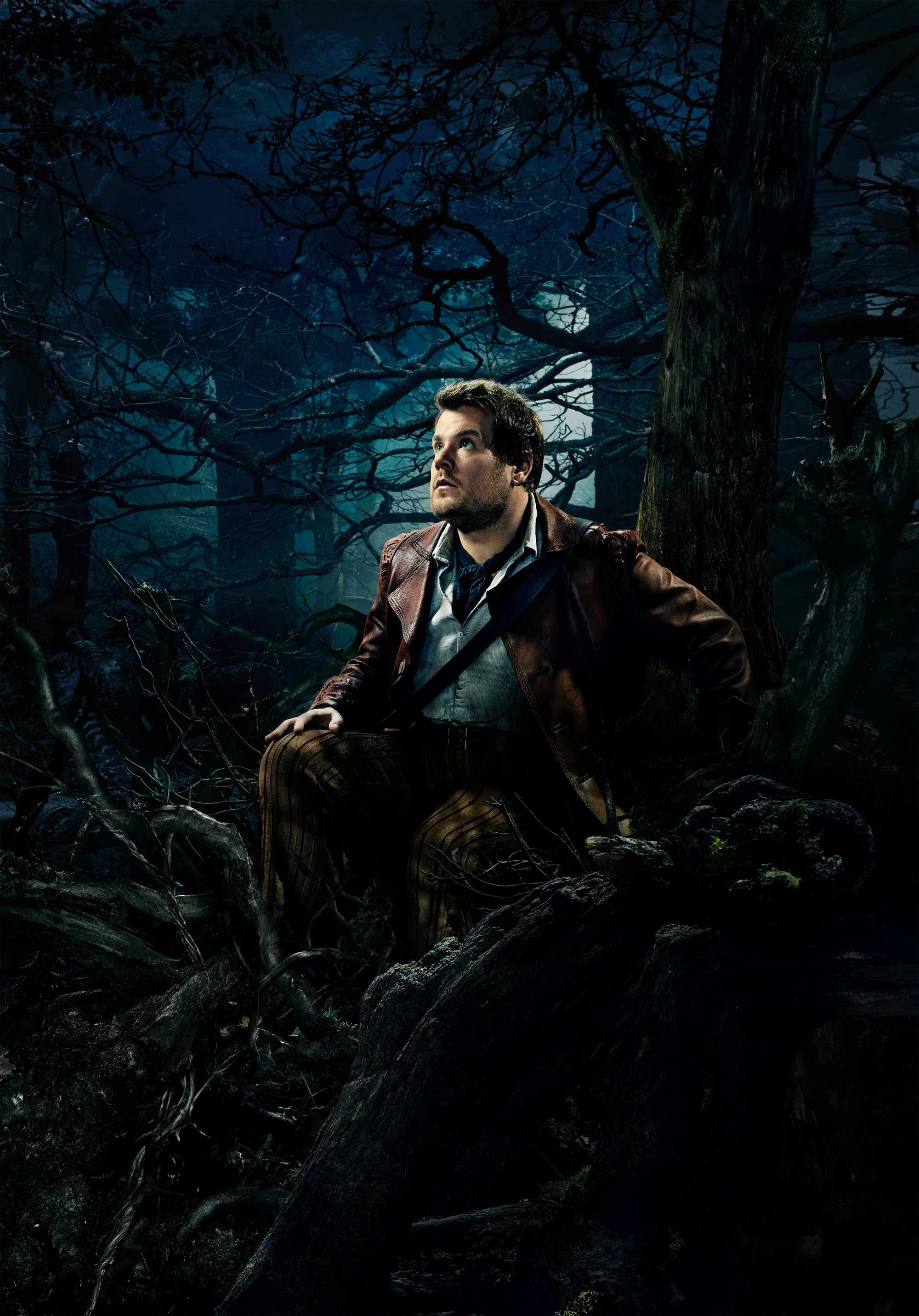 The Baker (Into the Woods) Disney Wiki FANDOM powered by Wikia