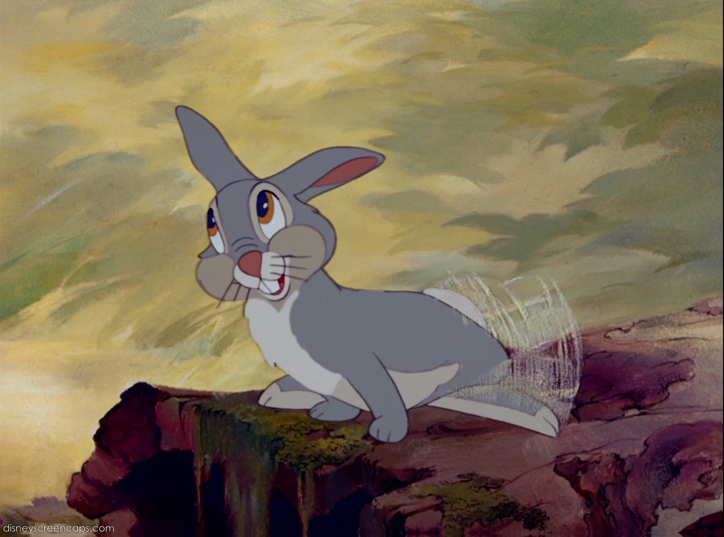 Uncategorized Pictures Of Thumper image bambi thumper adult jpg disney wiki fandom powered by jpg