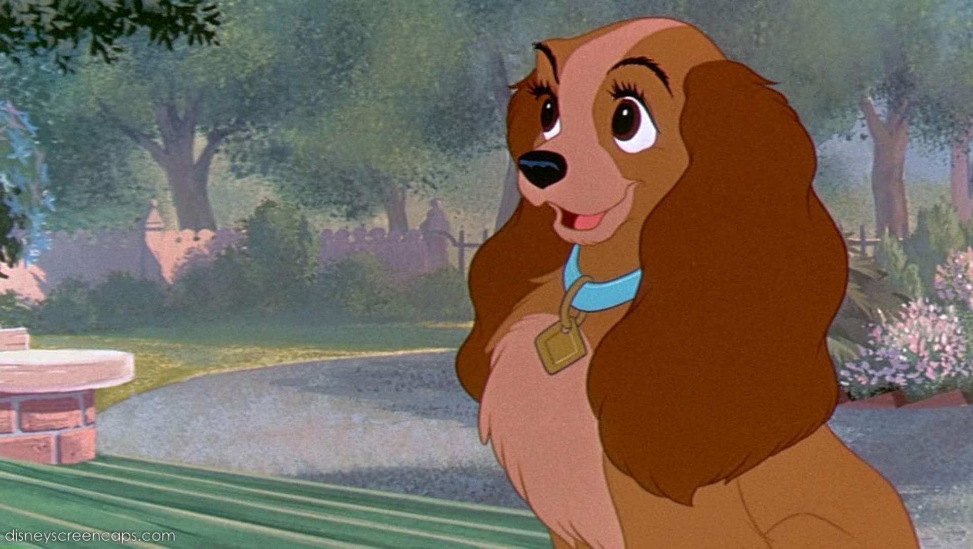 Lady | Disney Wiki | FANDOM powered by Wikia