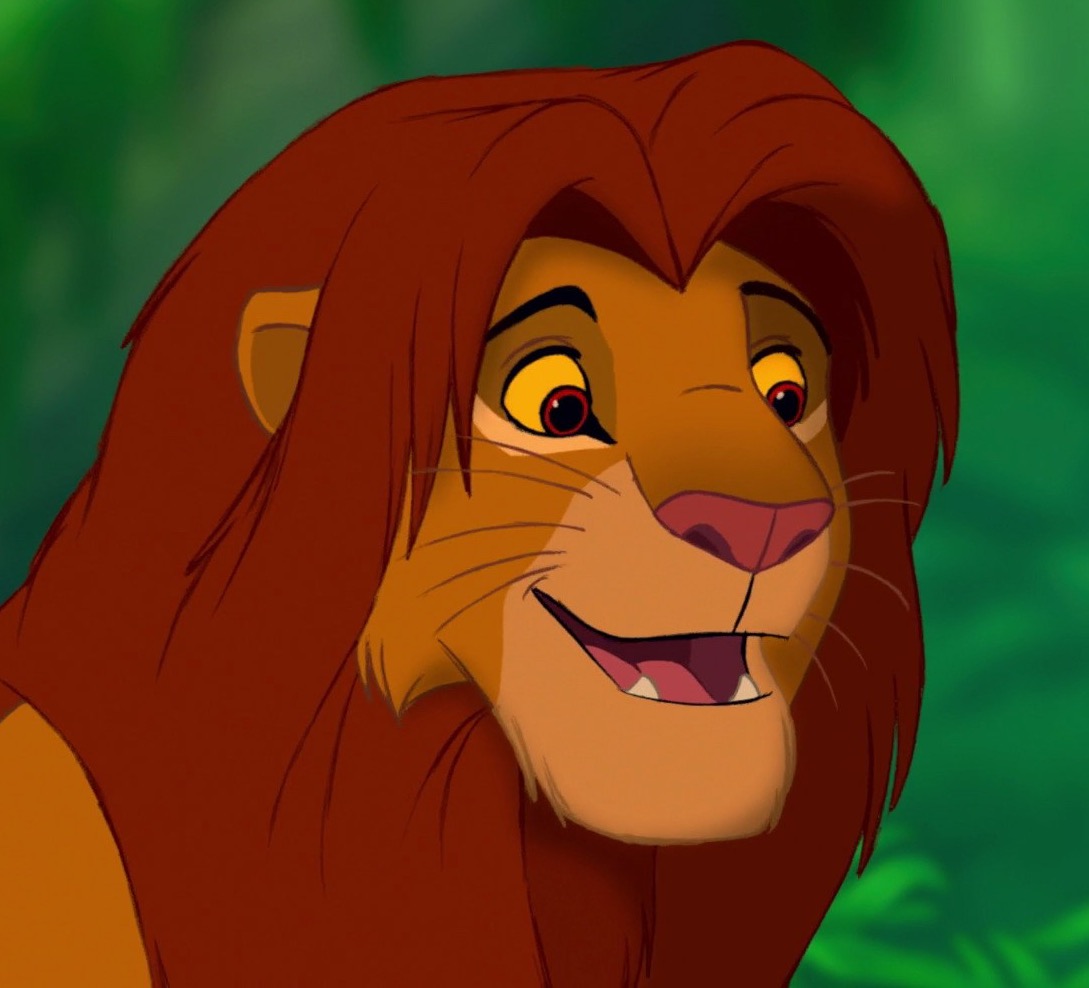 Simba The Lion King Serie Animada