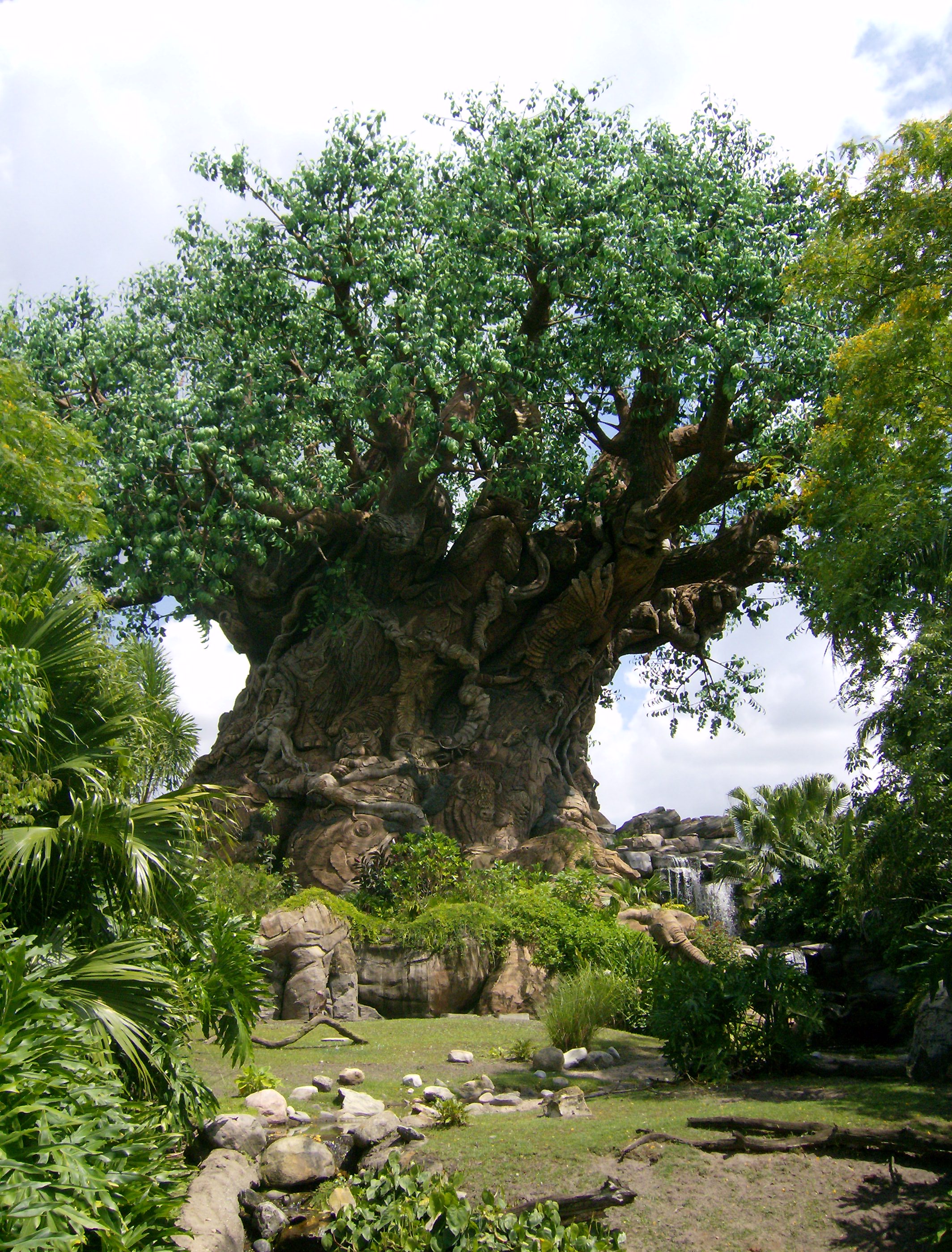 Tree Of Life Disney Wiki Fandom