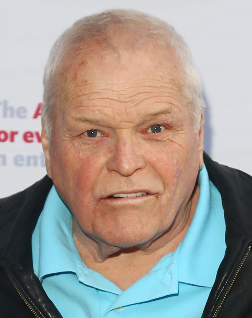 Brian Dennehy | Disney Wiki | Fandom