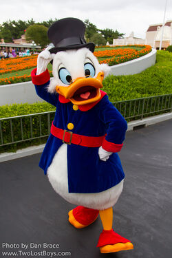 Scrooge McDuck Character Central