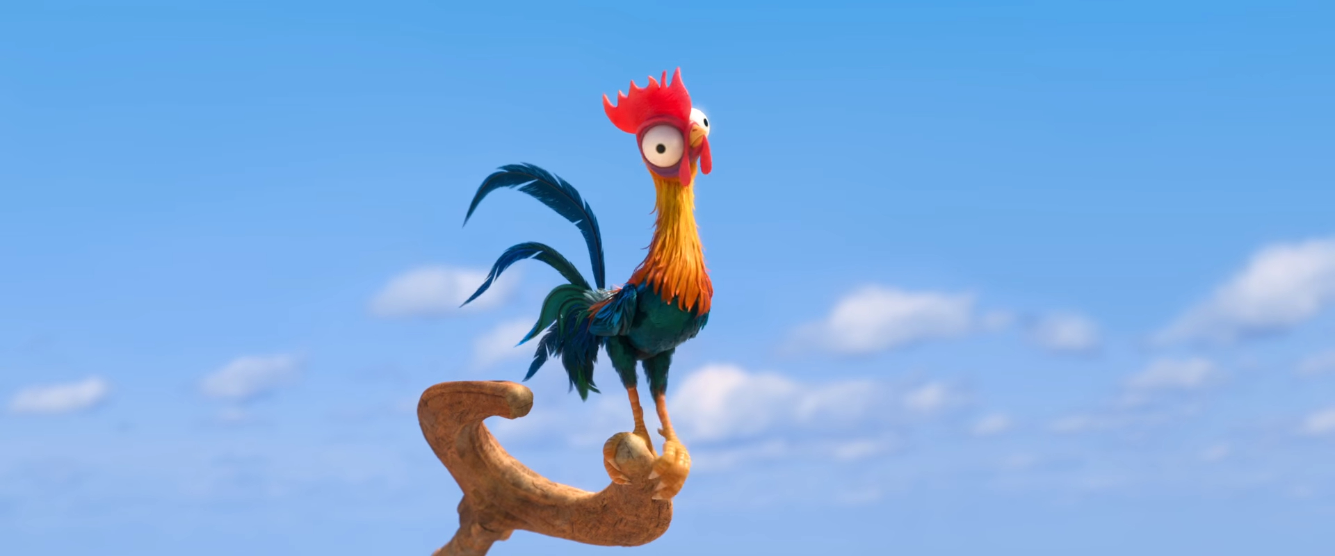 What Was The Chicken S Name In Moana