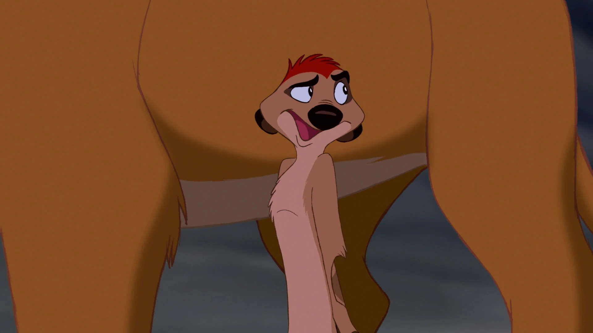 Image Timonlionking1.jpg Disney Wiki FANDOM
