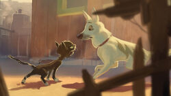 Visdev img 9.jpg