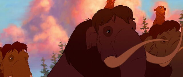 File:Brother-bear-disneyscreencaps.com-4901.jpg