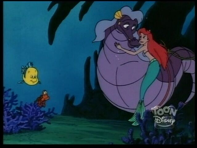 File:StormySeahorse87.jpg
