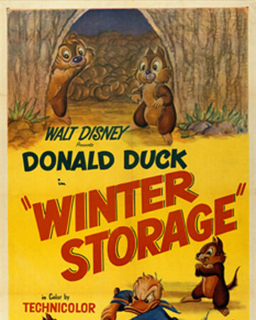 Winter Storage Disney Wiki Fandom