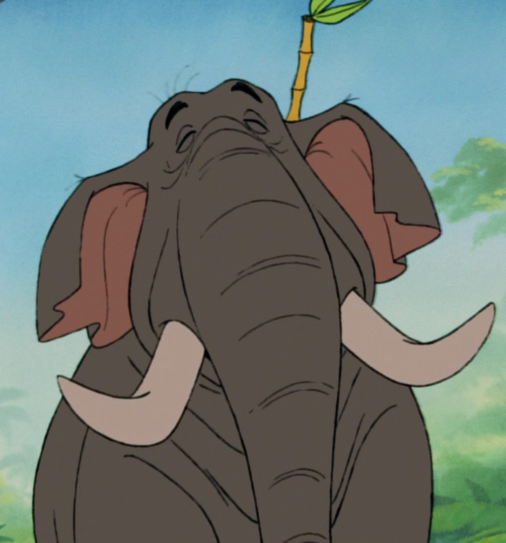 Colonel Hathi Disney Wiki Fandom