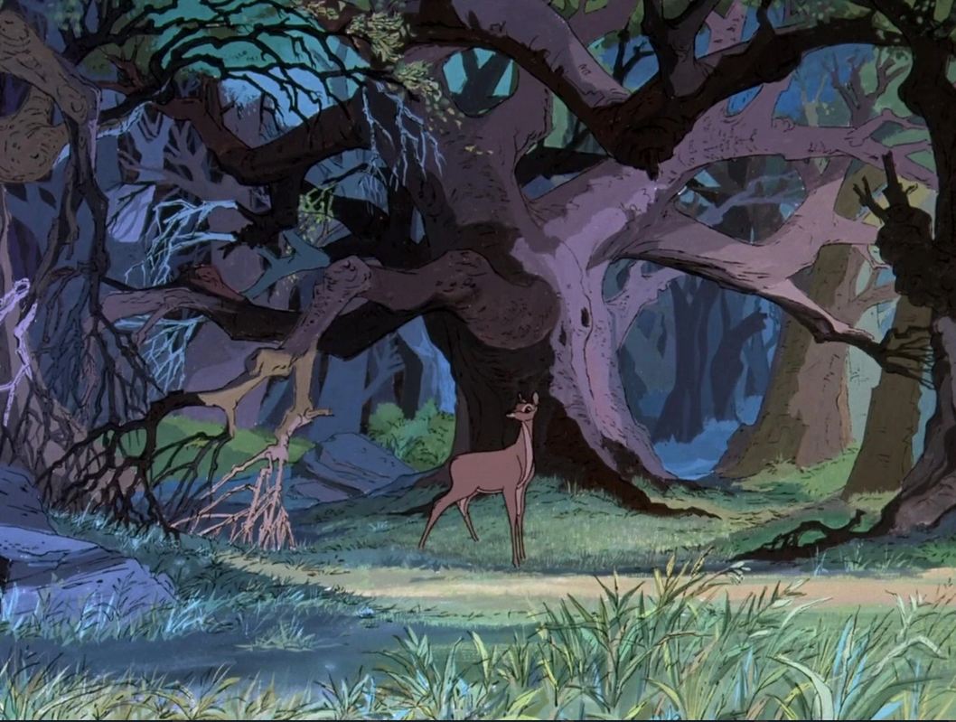 dont sleep in the woods dont sleep in the woods