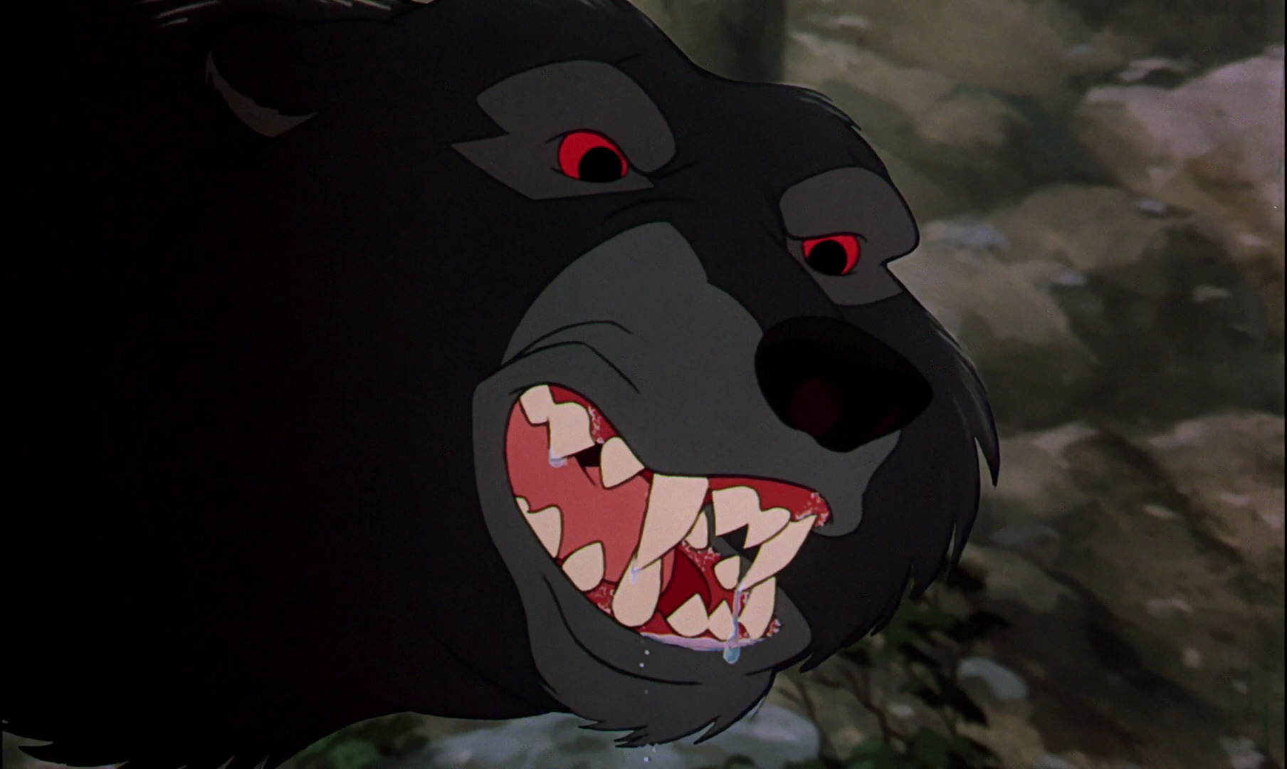 The Bear | Disney Wiki | FANDOM powered by Wikia