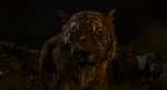 Jungle Book 2016 121