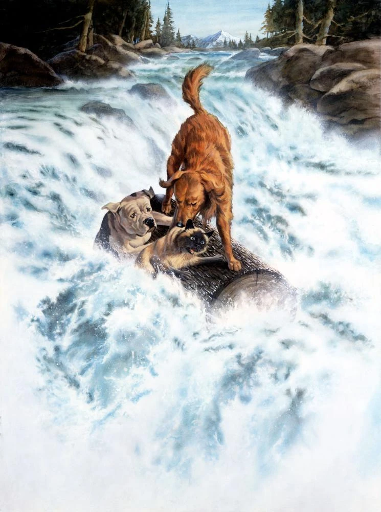 Image - Homeward Bound - The Incredible Journey textless ...