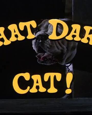 That Darn Cat Theme Song Disney Wiki Fandom