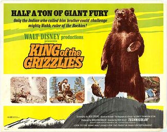 King of the grizzlies