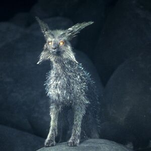 vulptex toy