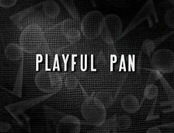 Playfulpan
