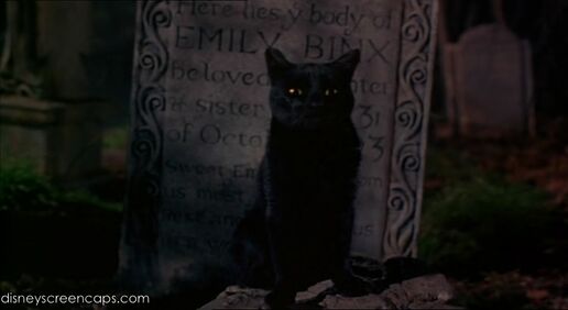 Thackery Binx | Disney Wiki | FANDOM powered by Wikia