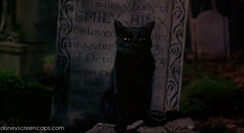 Thackery Binx | Disney Wiki | FANDOM powered by Wikia