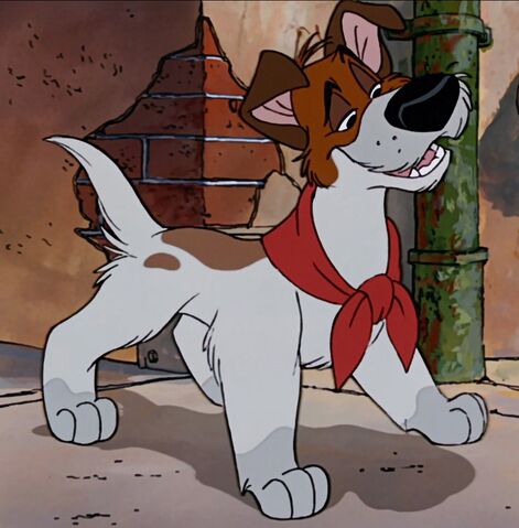 File:Dodger.jpg