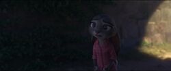 Judy apologizes