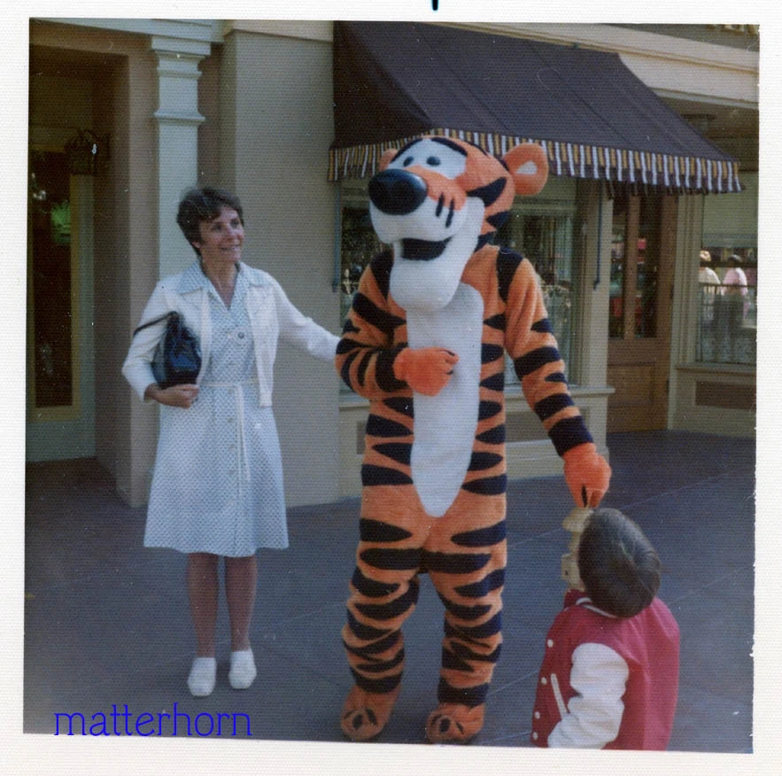 Tigger Costumes Through the Years Disney Wiki FANDOM powered by Wikia