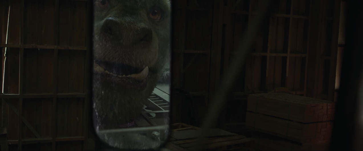 Image - Pete's-Dragon-2016-78.png | Disney Wiki | FANDOM powered by Wikia