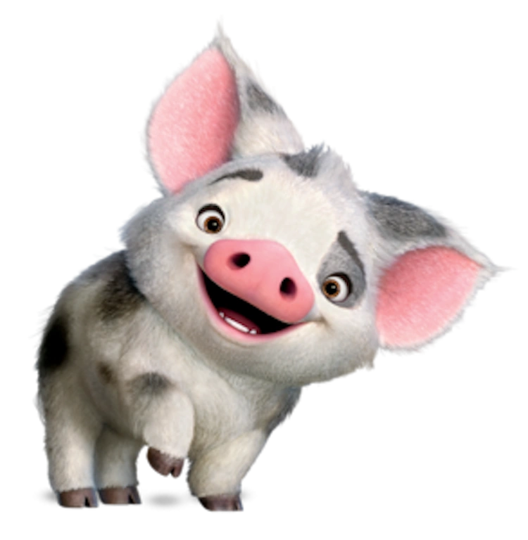 Pua (Moana)/Gallery | Disney Wiki | FANDOM powered by Wikia