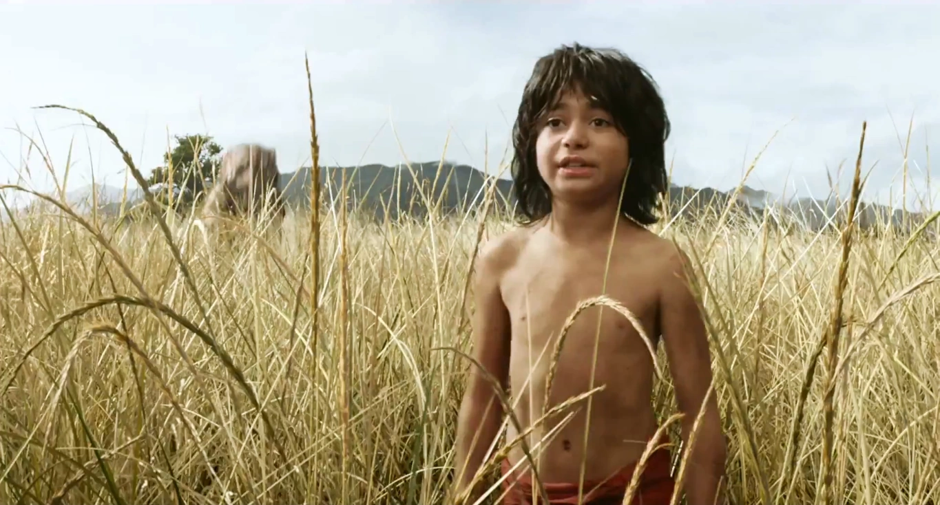 Похожее изображение