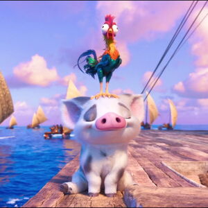 Moana Pig Wallpaper Strikerins Moana Pig Wallpaper Strikerins