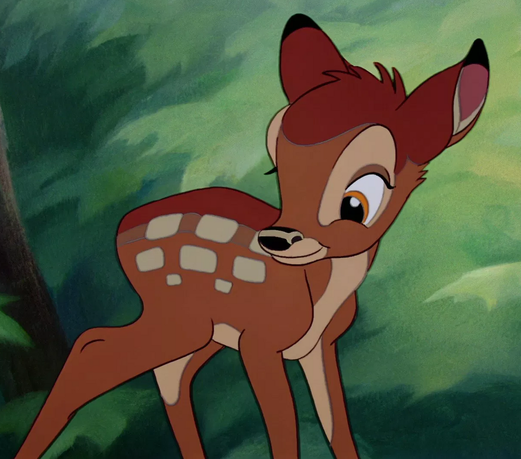 BaMMI_Not_Bambi