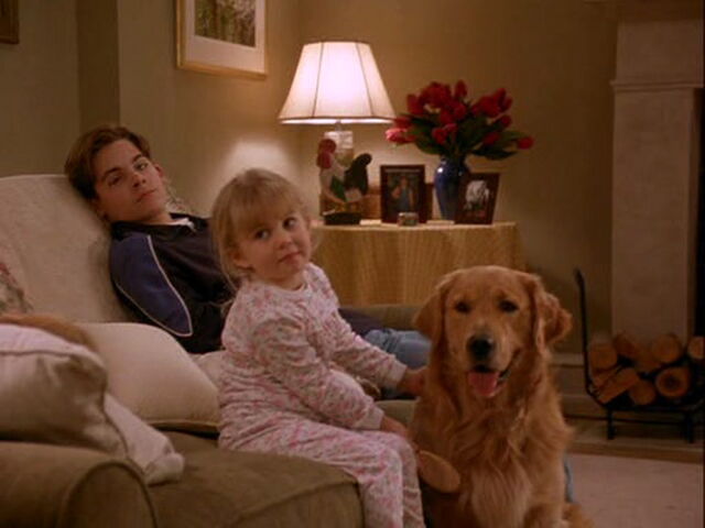 File:Air-bud2-disneyscreencaps.com-1716.jpg