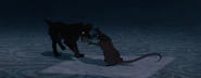 Lady-tramp-disneyscreencaps com-7731