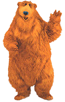 bear bear in the
