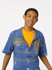 Sander